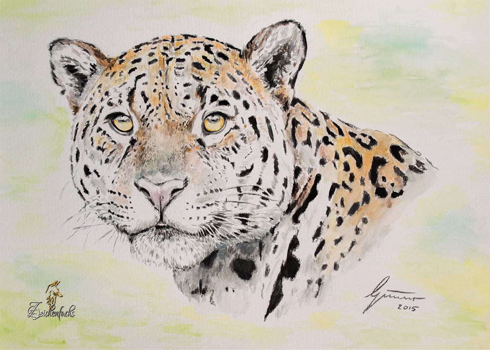 Tierportrait Jaguar