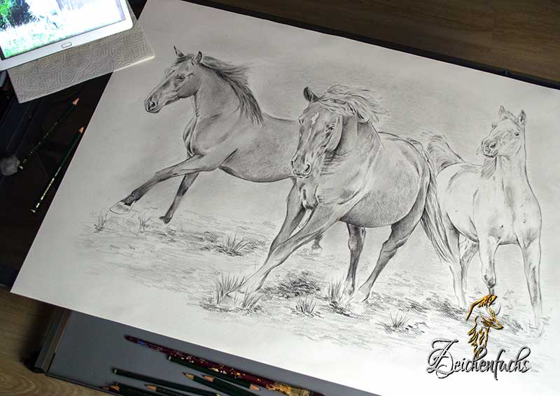Pferdeportrait zeichnen lassen