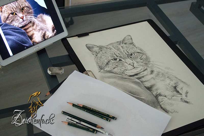 Katzenzeichnung | Katzenportrait | Katze zeichnen lassen