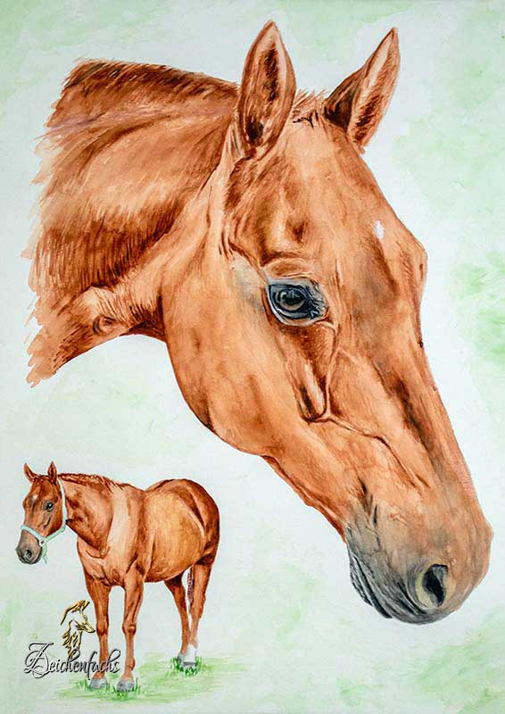 Aquarell Pferde- Doppelportrait