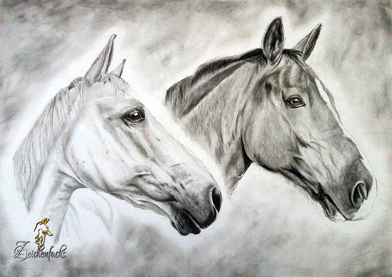 Kohlezeichnung zweier Pferde